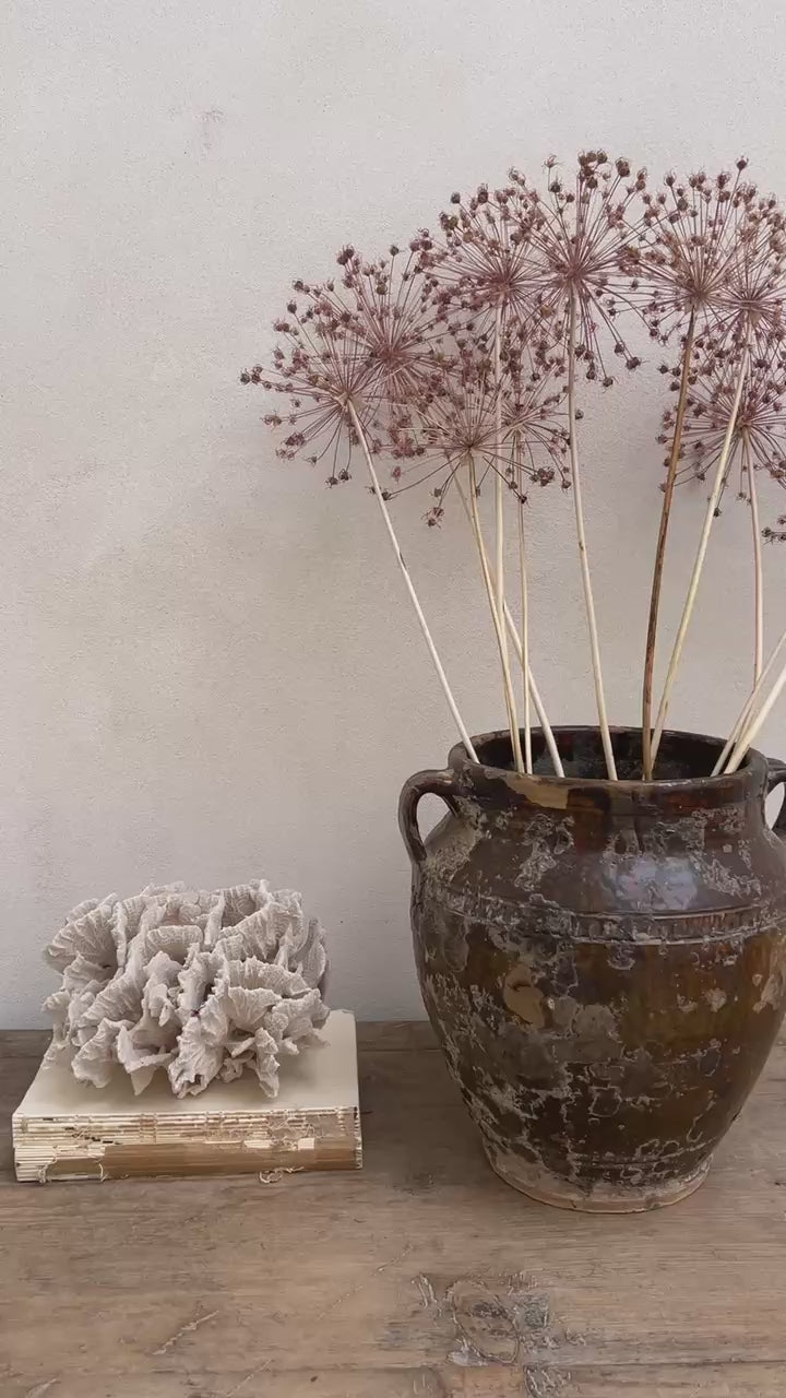 Antique Mediterranean Pot Catania