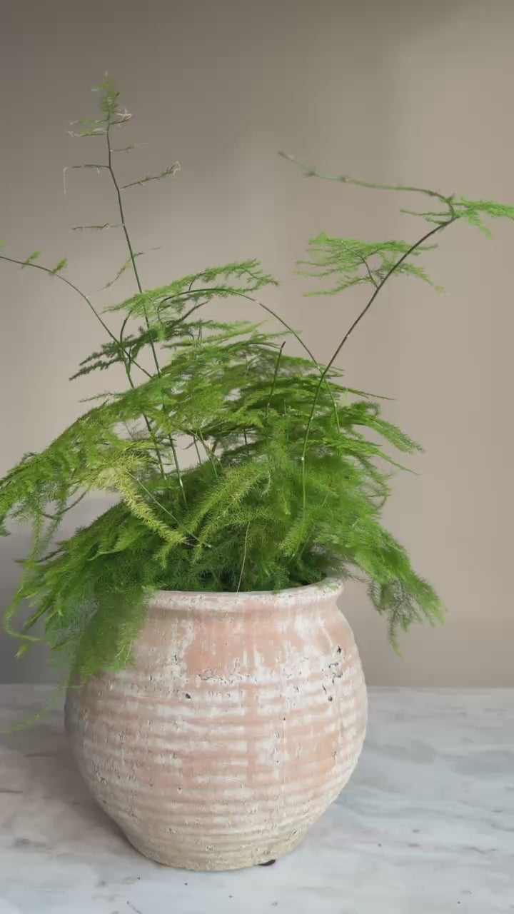 Ribbed Stone Planter Pot | Margot