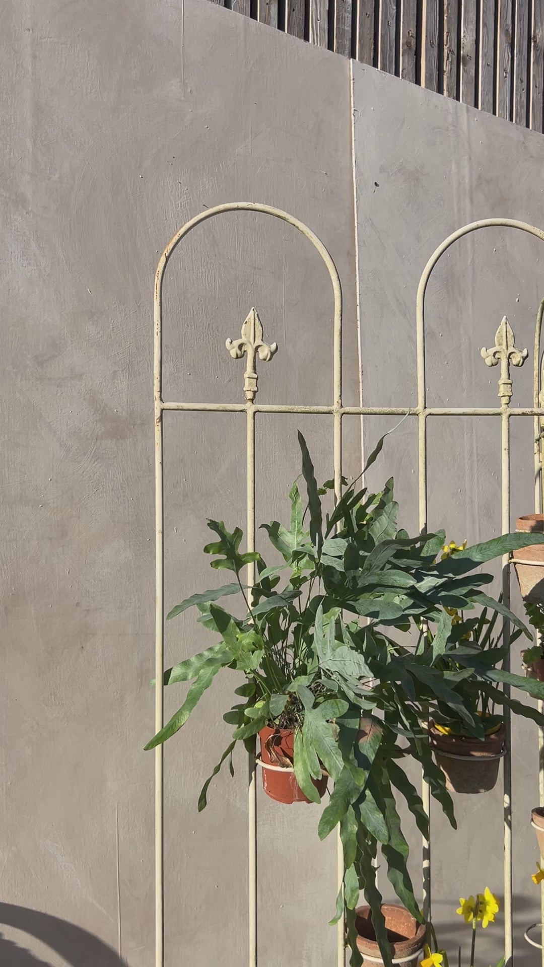 Antique victorian cast iron plant stand | Florence 