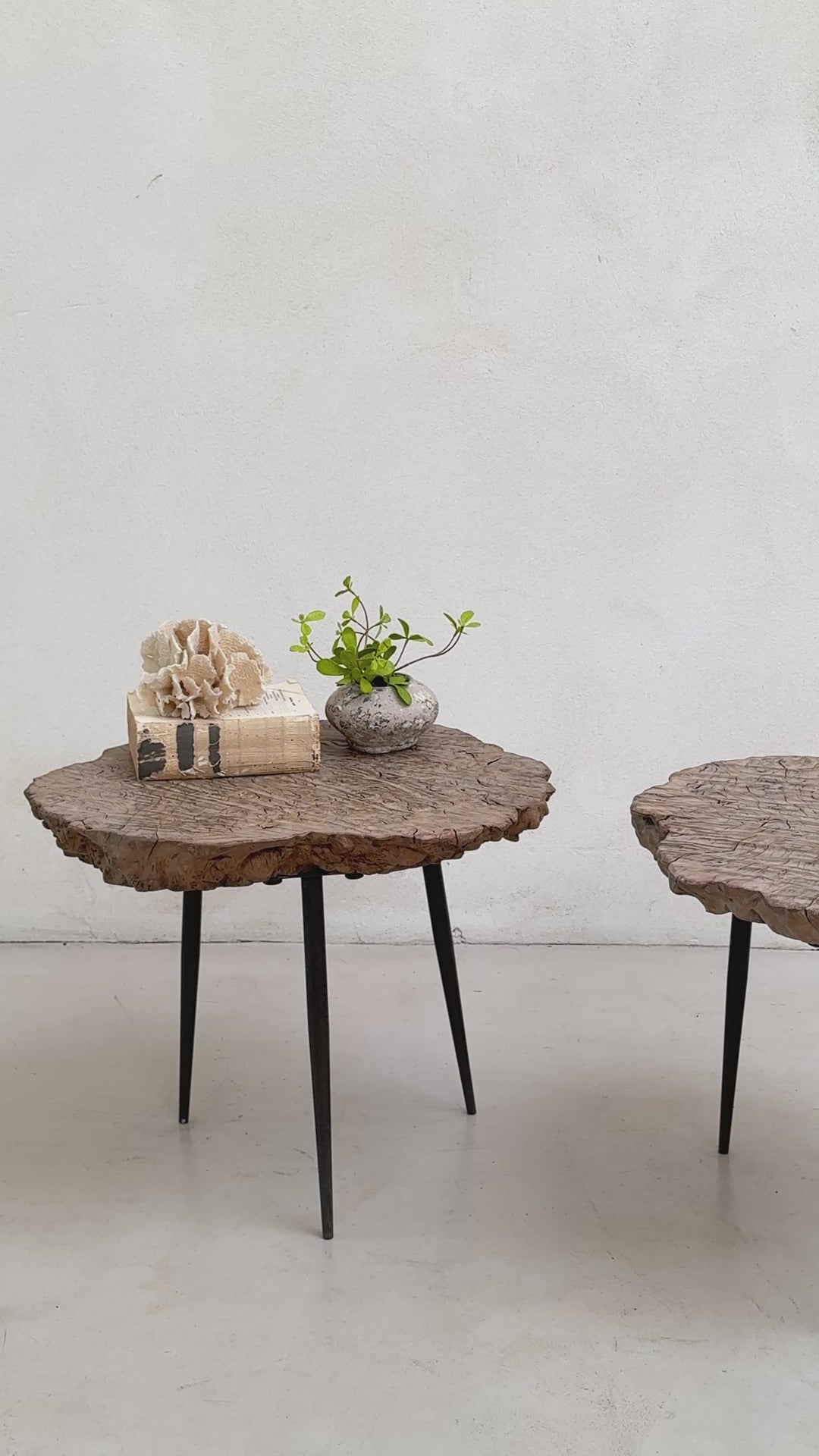 Ancient burr elm side table | Octavia