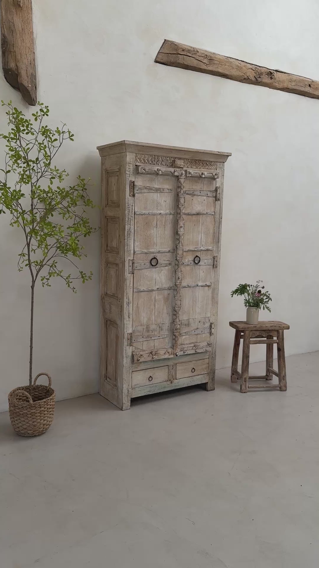 Salvaged Indian Antique Door Cupboard Rena