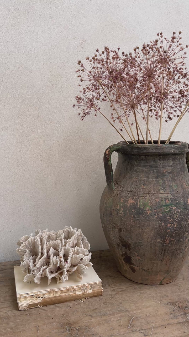 Antique Mediterranean Urn Palermo
