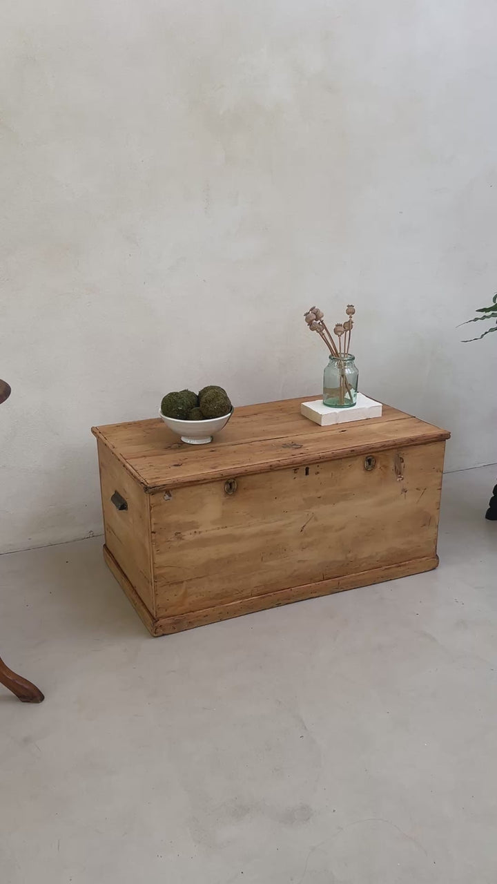 Vintage Blanket Box | Poynings