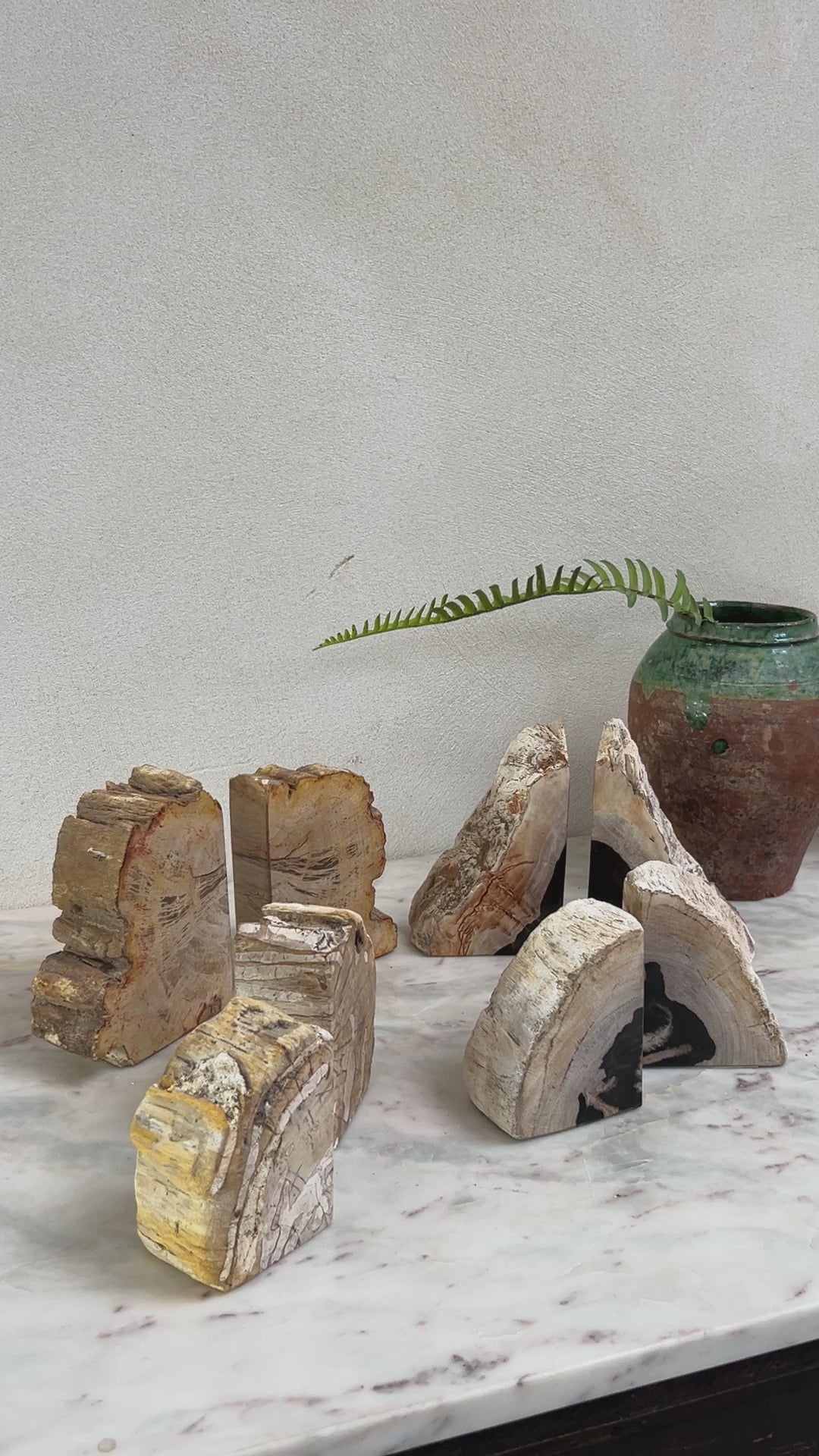 Petrified Wood Pair of Bookends