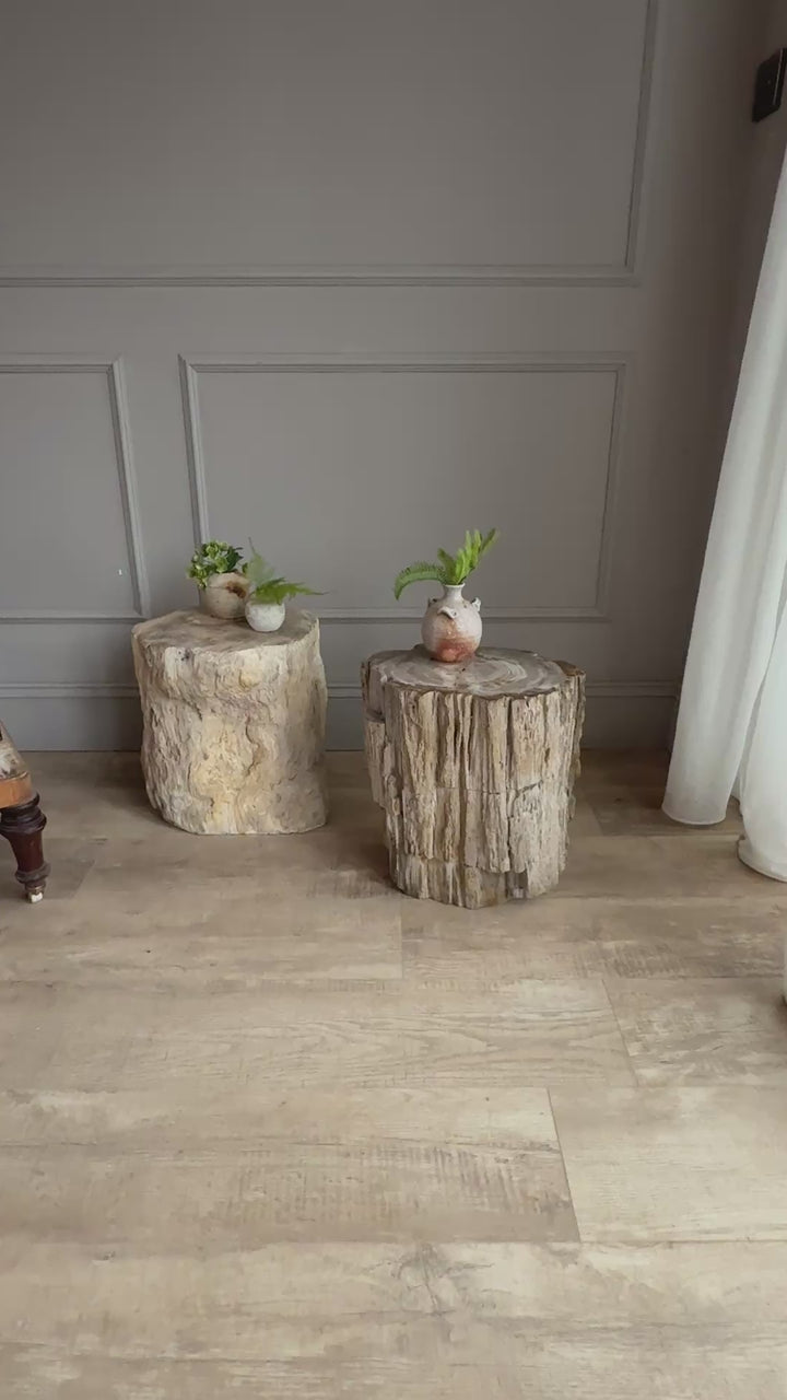 Petrified Wood Side Tables
