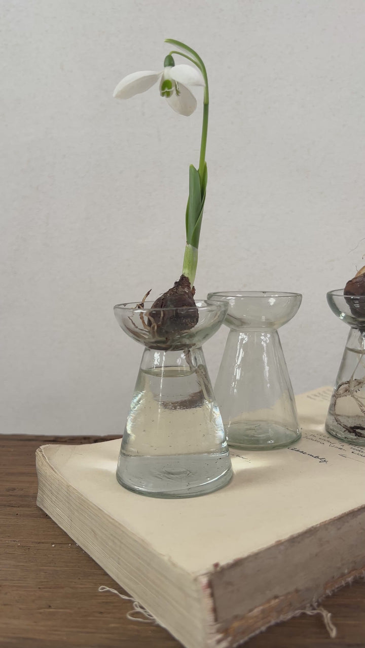 Mini Glass Bulb Vase