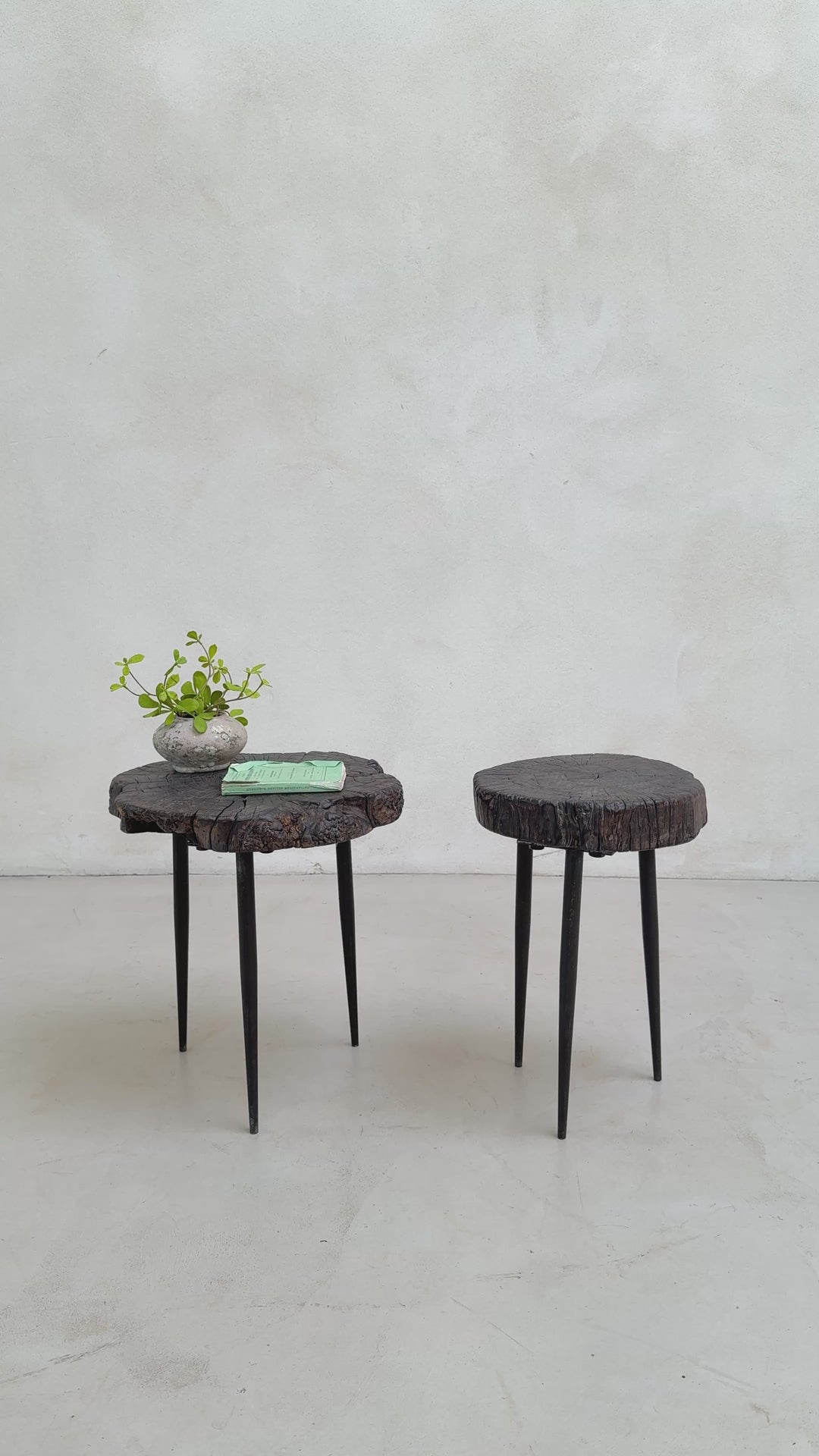 Pair of small burr walnut side tables