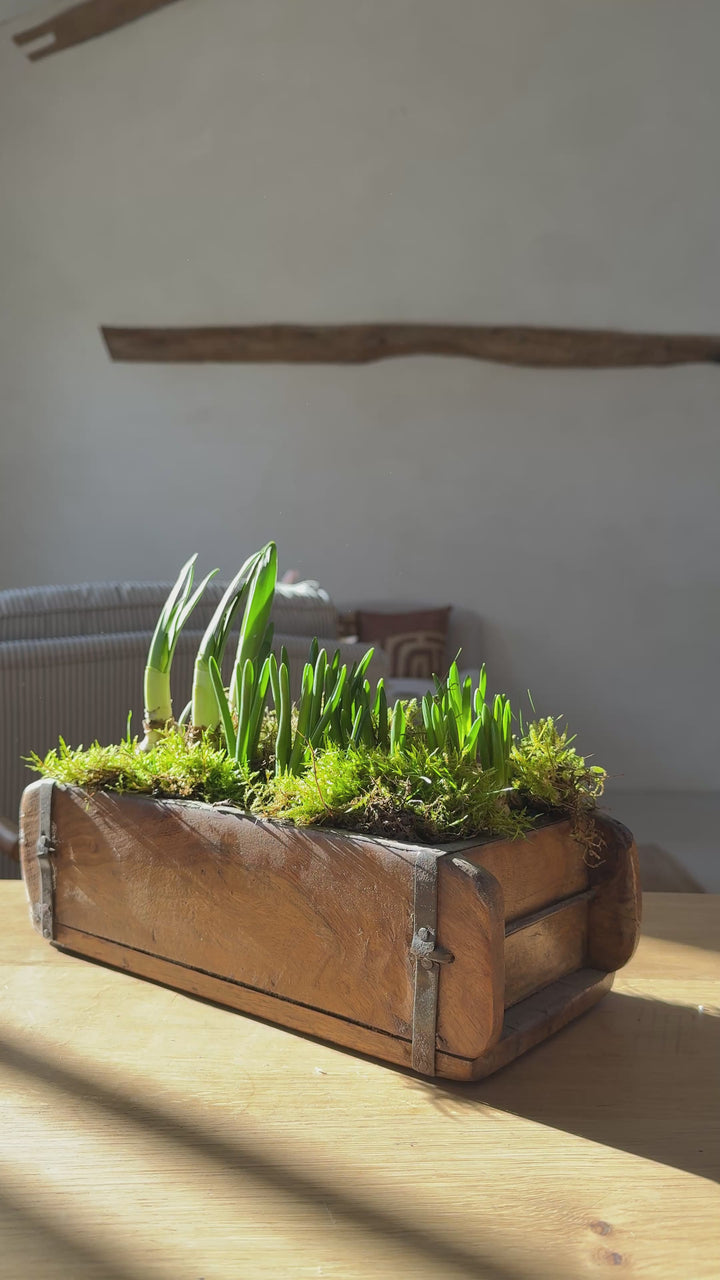 Vintage Teak Brick Mould