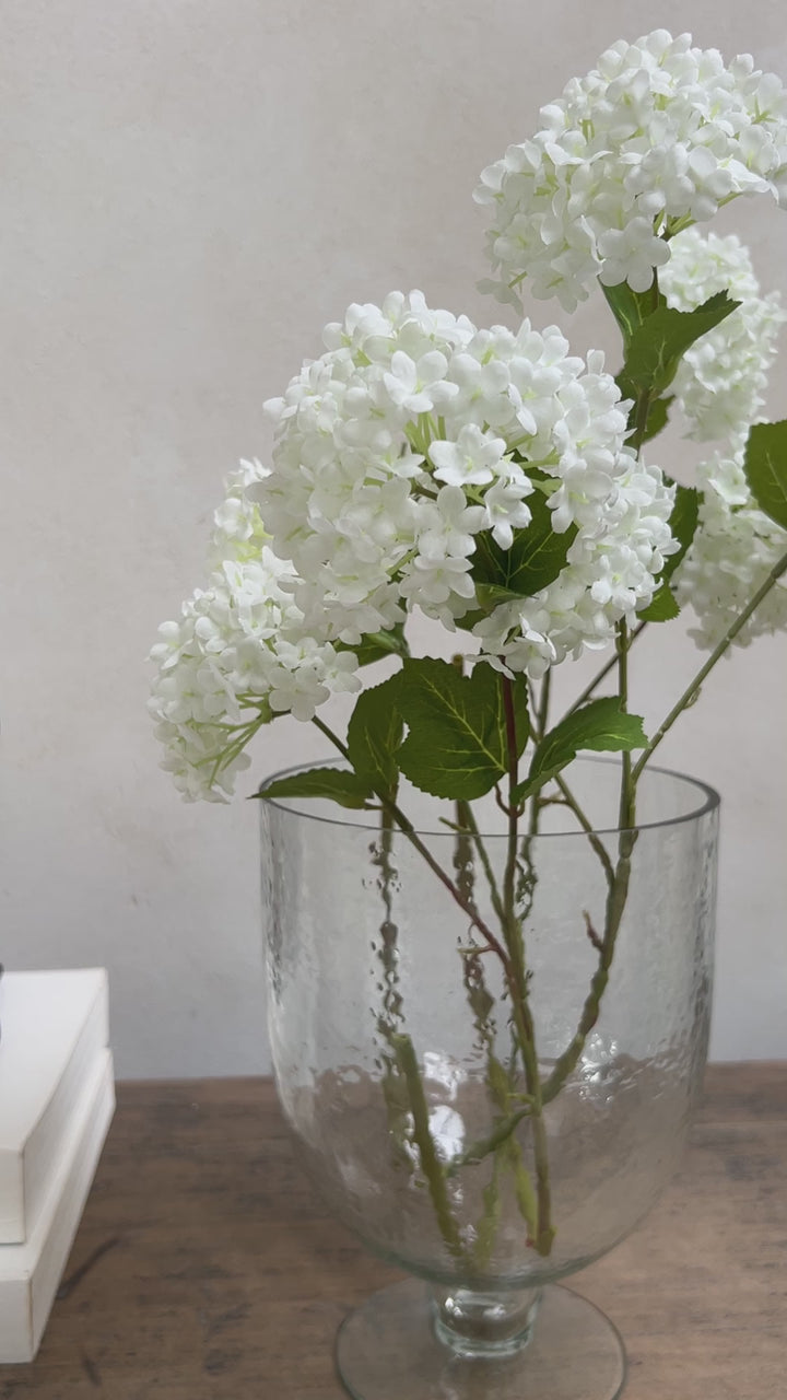 Hurricane Glass Vase | Lise 