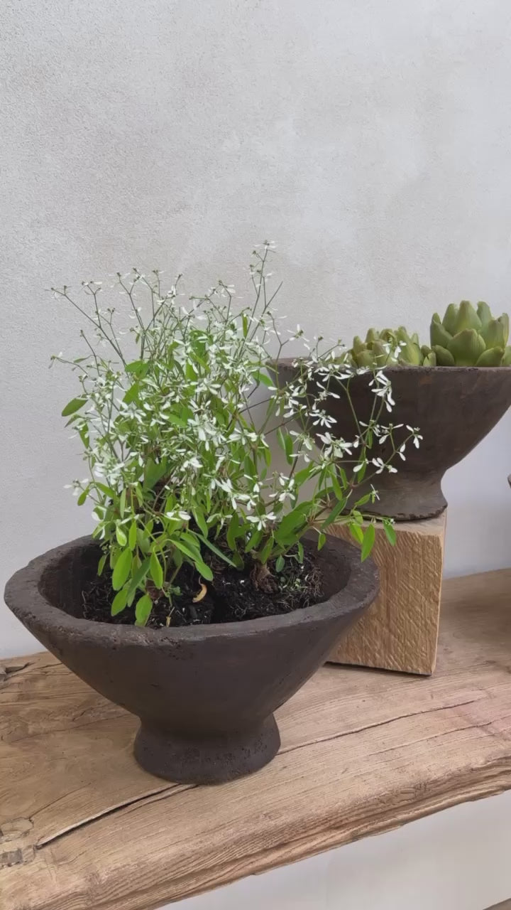 Rustic Tall Wooden Bowl video