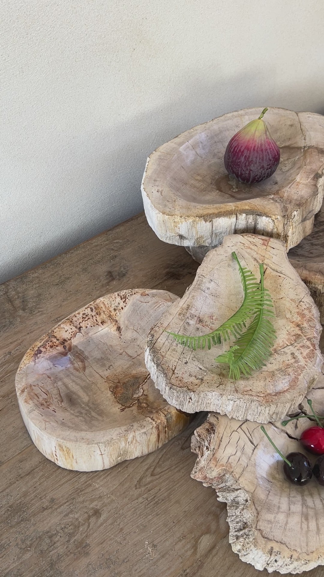 Petrified Wood stone Bowls