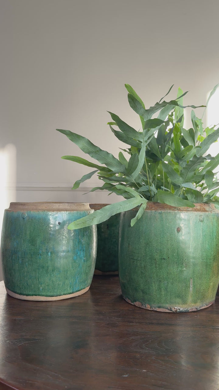 Antique jade coloured rice pot Small