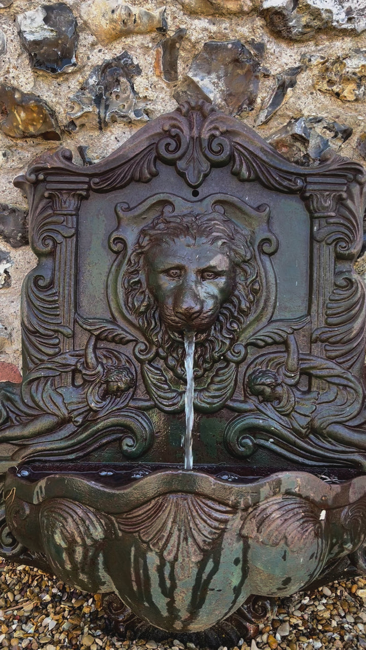 Antique Lion Water feature video
