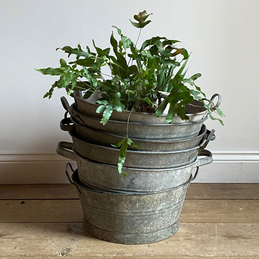 small galvanised plant pots Small Round vintage galvanised planter – Home Barn