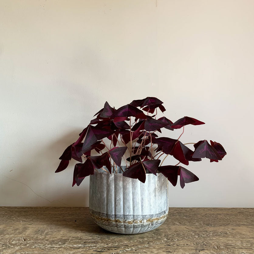 Small Ribbed Distressed Tin Plant Pot