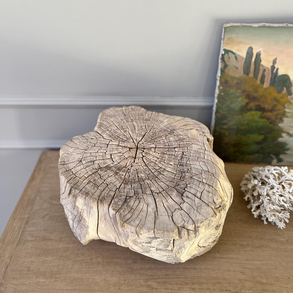 SMALL ROOT WOOD ANTIQUE TREE STUMP | D